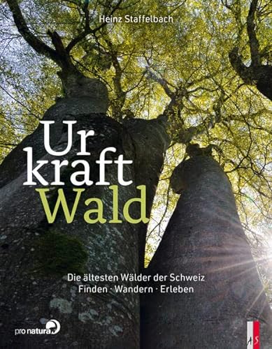 Urkraft Wald: Die ältesten Wälder der Schweiz. Finden – Wandern – Erleben von AS Verlag